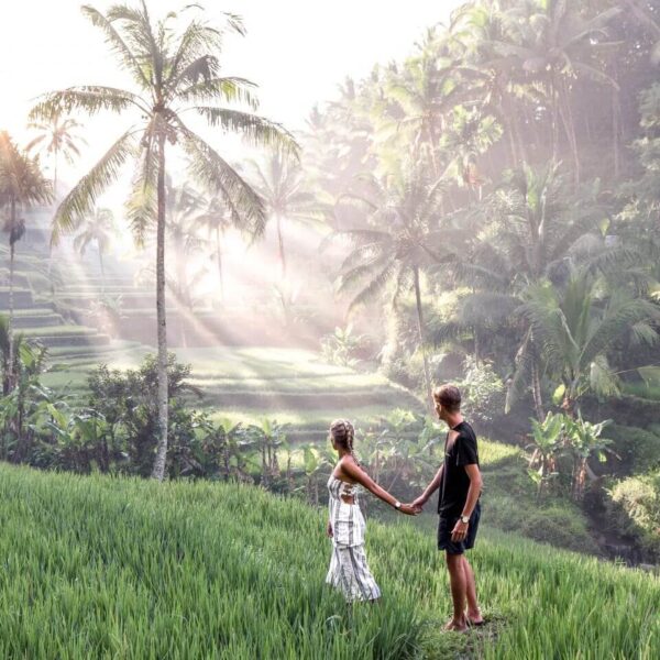 Drone view of Tegalalang Rice Terrace in Bali